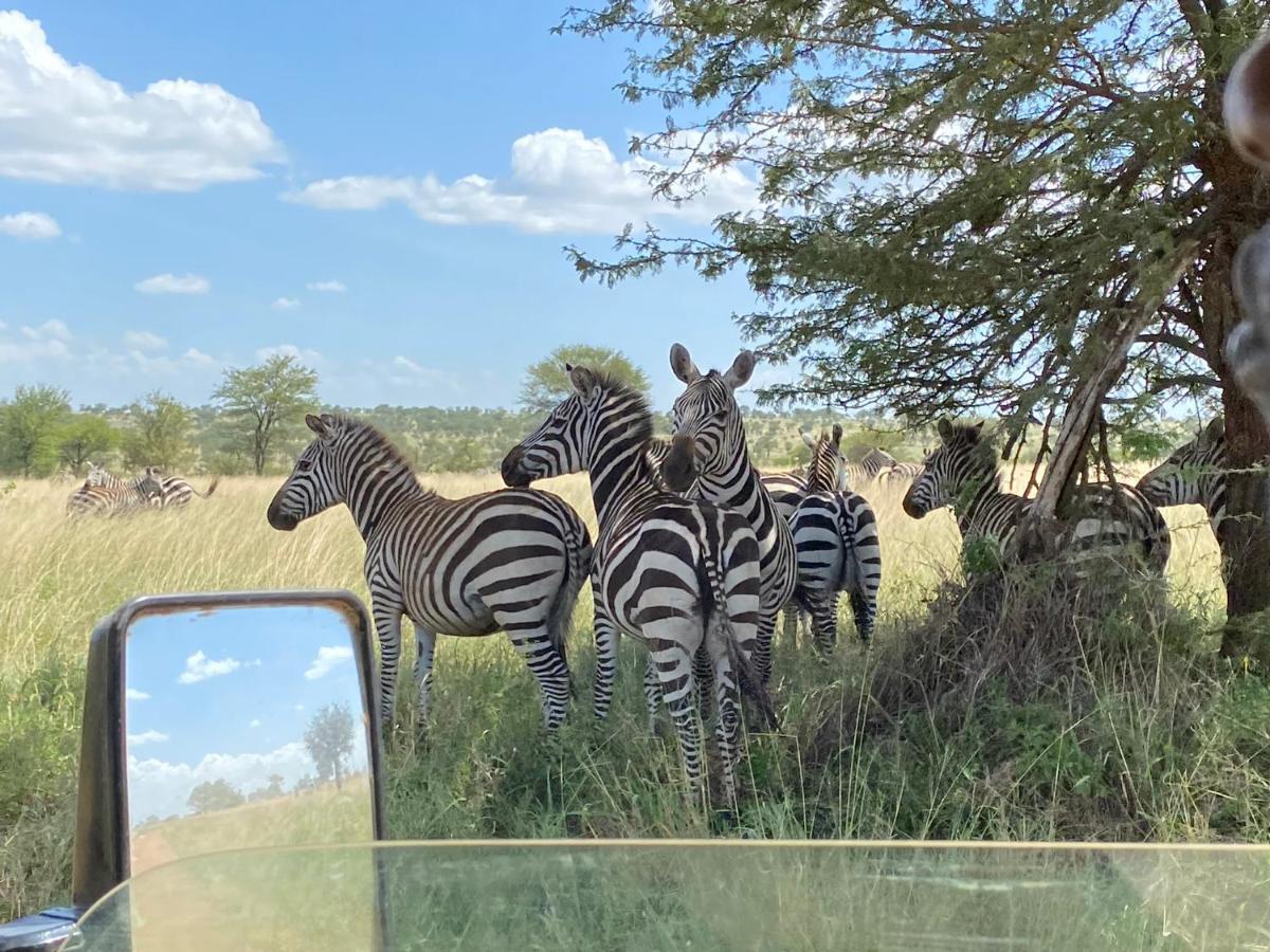 Foresight Eco Lodge & Safari كاراتو المظهر الخارجي الصورة