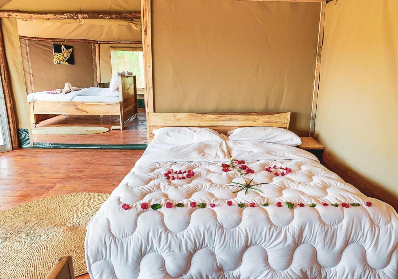 Foresight Eco Lodge & Safari كاراتو المظهر الخارجي الصورة