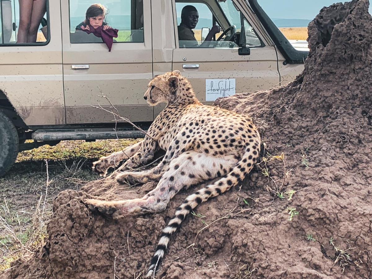 Foresight Eco Lodge & Safari كاراتو المظهر الخارجي الصورة