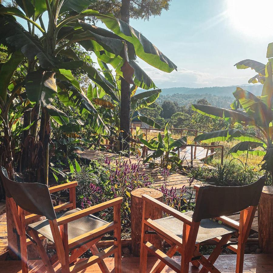Foresight Eco Lodge & Safari كاراتو المظهر الخارجي الصورة