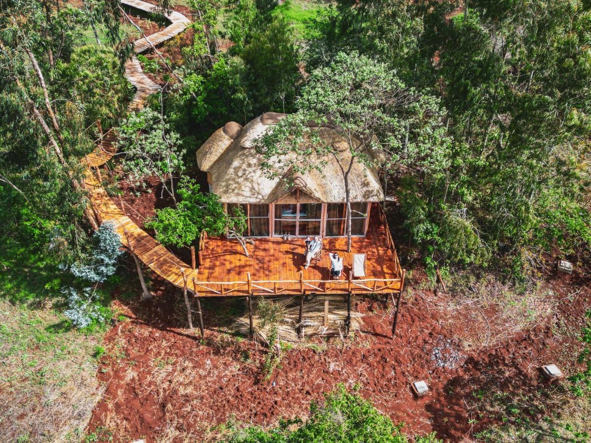 Foresight Eco Lodge & Safari كاراتو المظهر الخارجي الصورة