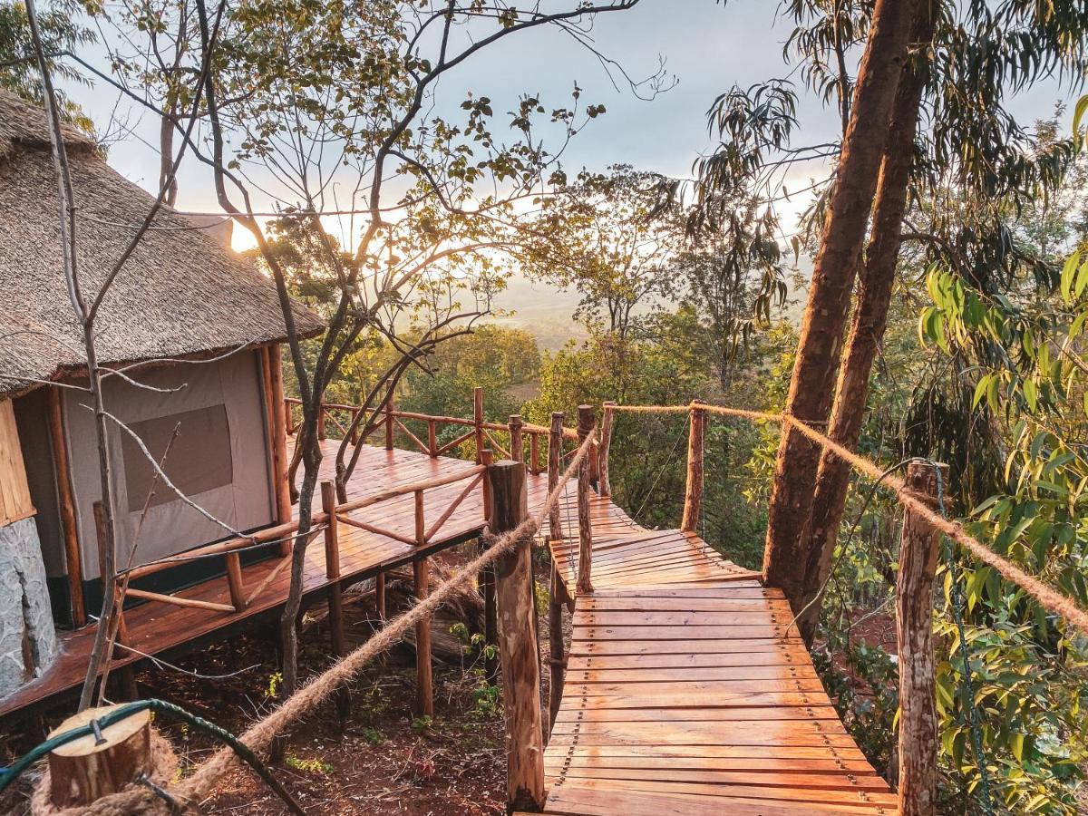 Foresight Eco Lodge & Safari كاراتو المظهر الخارجي الصورة